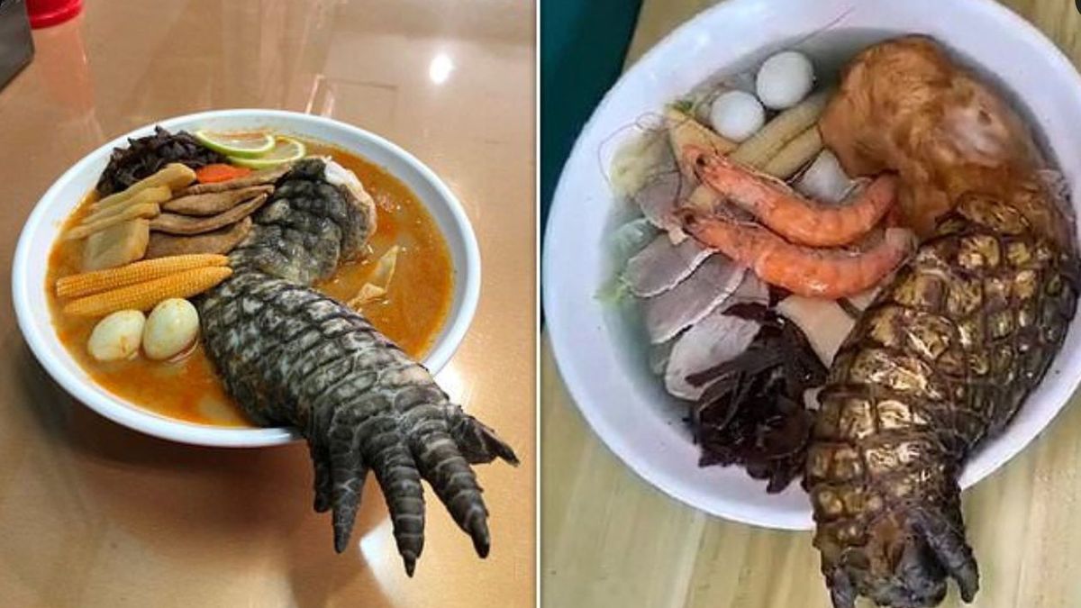 Zupa z łapą krokodyla. Fot. Twitter/Daily Mail Online