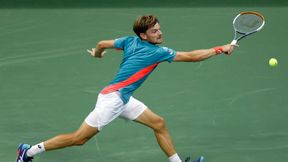 Tenis. ATP Antalya: łatwe triumfy Davida Goffina i Alexa de Minaura. Nikołoz Basilaszwili pokonał pogromcę Kacpra Żuka