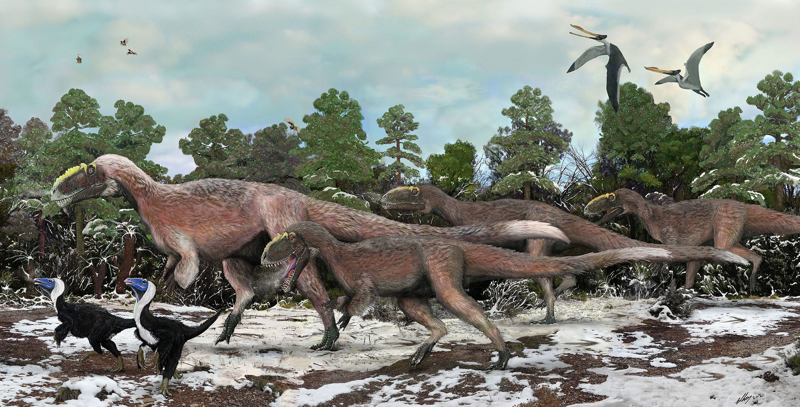 Yutyrannus to największy znany dinozaur z piórami