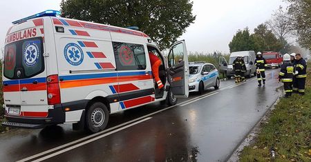 Uderzyła w drzewo