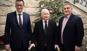 PiS szykuje się do budowy nowej siły w Europie? "Duże ryzyko Kaczyńskiego"