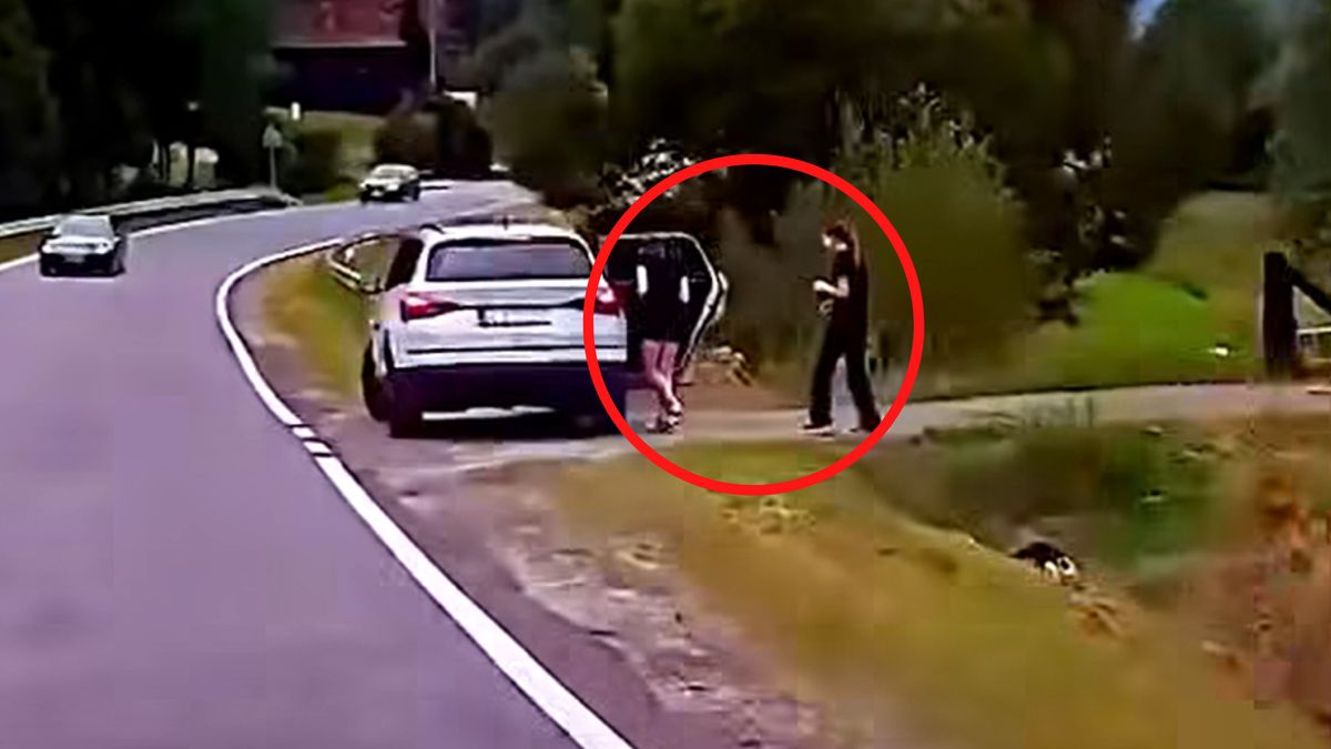 Kobieta wyrzuciła śmieci do rowu.