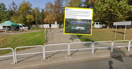 Pamiętaj o nich po 1 listopada. Są już w całej Polsce