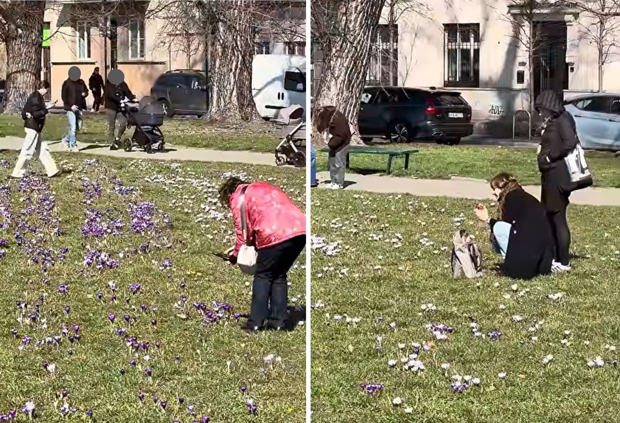 Co roku ten sam problem. Nagranie z Krakowa. "Mogło być ładnie"