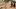 Galeria: Way of the Samurai 3