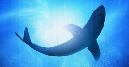 Wireshark 2.0: wygodniejsze „wąchanie” sieci dzięki nowemu interfejsowi