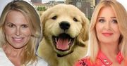 Dziś światowy dzień zwierząt! Z tej okazji gwiazdy pomagają schronisku! Majka Jeżowska, Anna Jurksztowicz...Kto jeszcze?