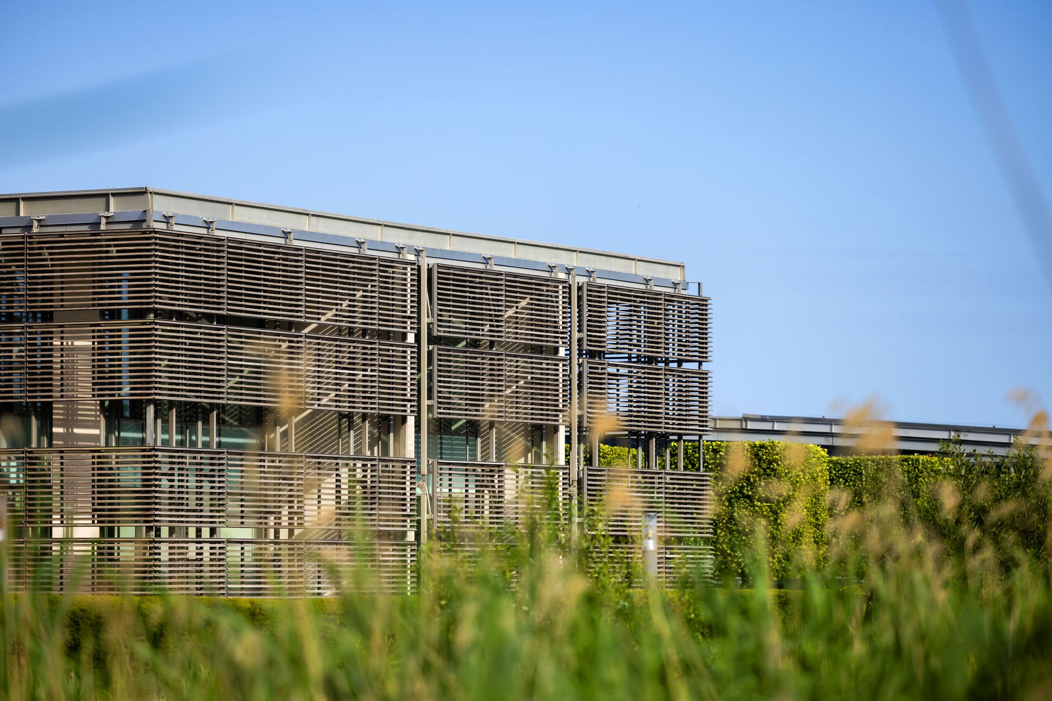 Fabryka Rolls-Royce'a w Goodwood