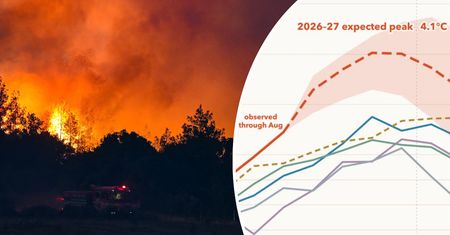 To będzie największe takie zjawisko w historii. Umrzeć może nawet 450 tys. ludzi
