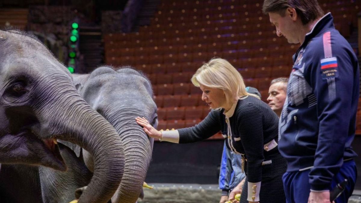 Birmańska junta wymienia słonie na rosyjskie myśliwce