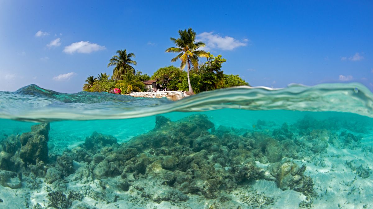 NORTH ARI ATOLL, MALDIVES - JANUARY 24: A general view of the island as coral reefs show severe damage due to rising sea temperatures linked to climate change during dives in the North Ari Atoll, Maldives on January 24, 2026. Observations reveal a significant decline in coral populations, along with coral bleaching. Anemones, schools of snapper fish, hawksbill sea turtles and a dense moray eel population at the area known as âfishtankâ were observed during the dives. (Photo by Tahsin Ceylan/Anadolu via Getty Images)