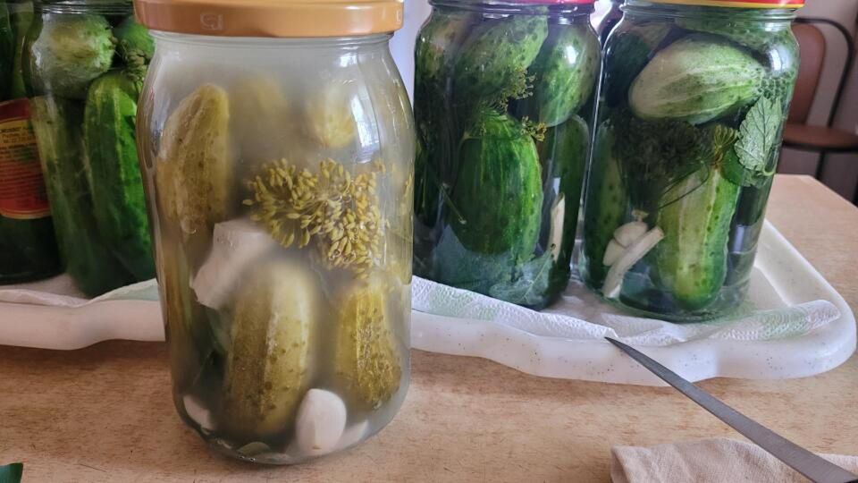 Jak podkreślić smak ogórków kiszonych czosnkiem?