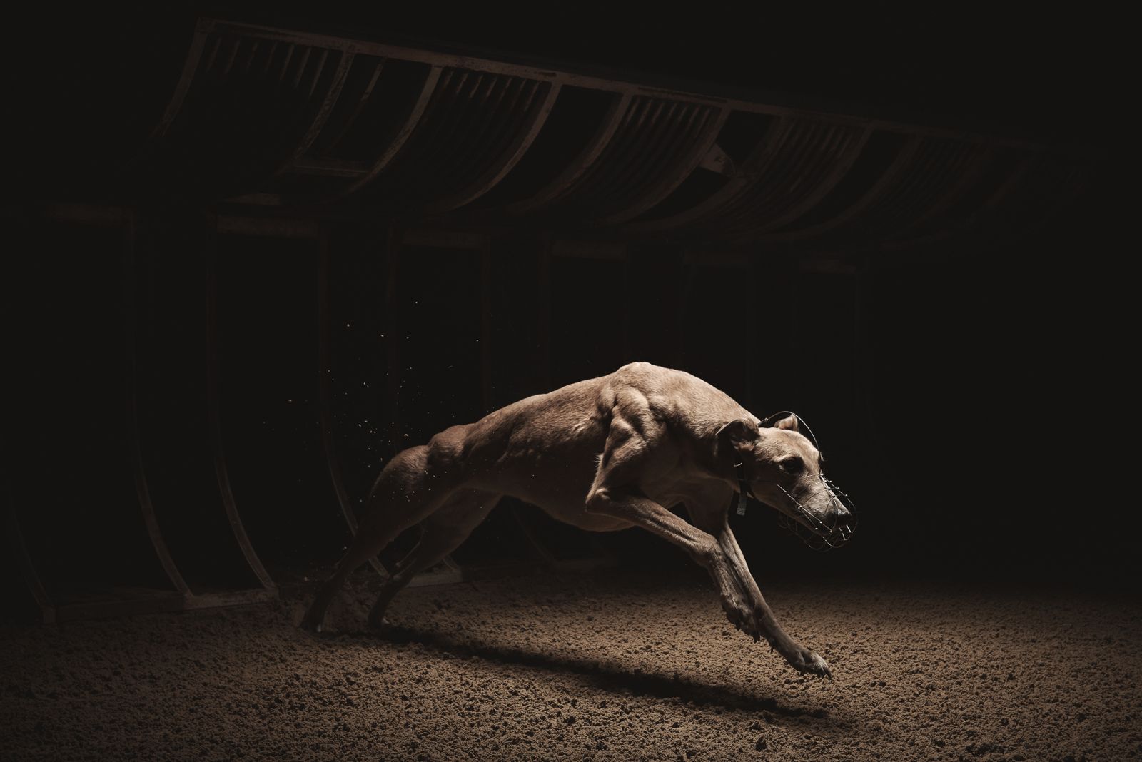 Najlepsze zdjęcia komercyjne z konkursu Spotlight Awards for Photographers 22