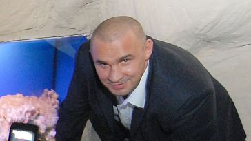 Obraz