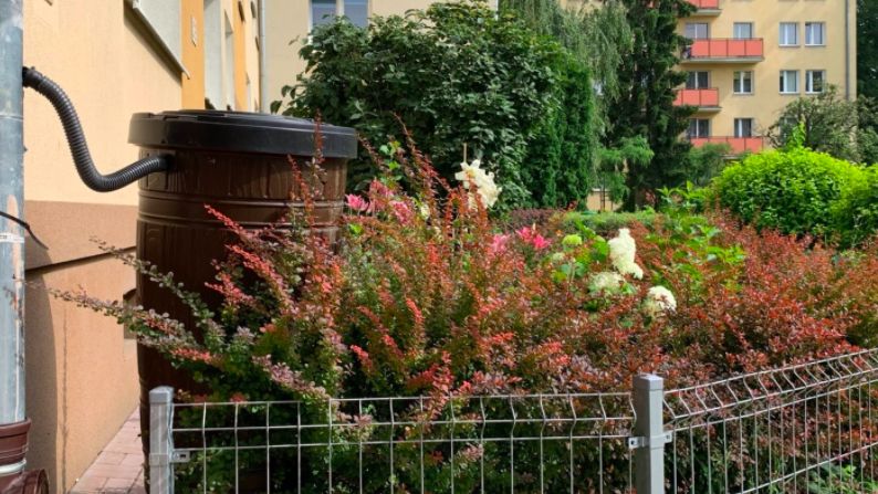 Warszawa. Na Woli zbiorniki retencyjne na wodę stoją już na stu podwórkach. Wspólnoty mieszkaniowe, zainteresowane dołączeniem do akcji, mogą zgłaszać się do punktów obsługi mieszkańców na Młynowie, Nowolipkach i na Kole