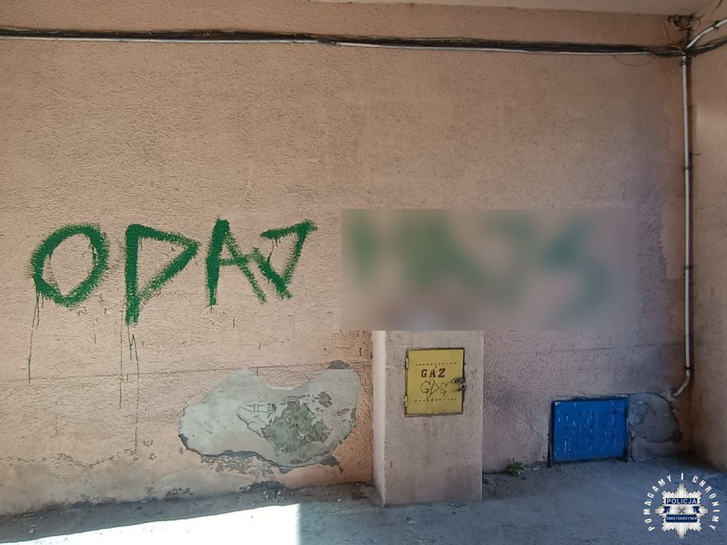 Namalował sobie zarzuty