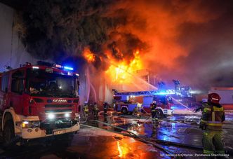 Pożar zakładów mięsnych w Sosnowcu. Ewakuowano kilkudziesięciu pracowników