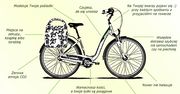 Zalety jazdy na rowerze