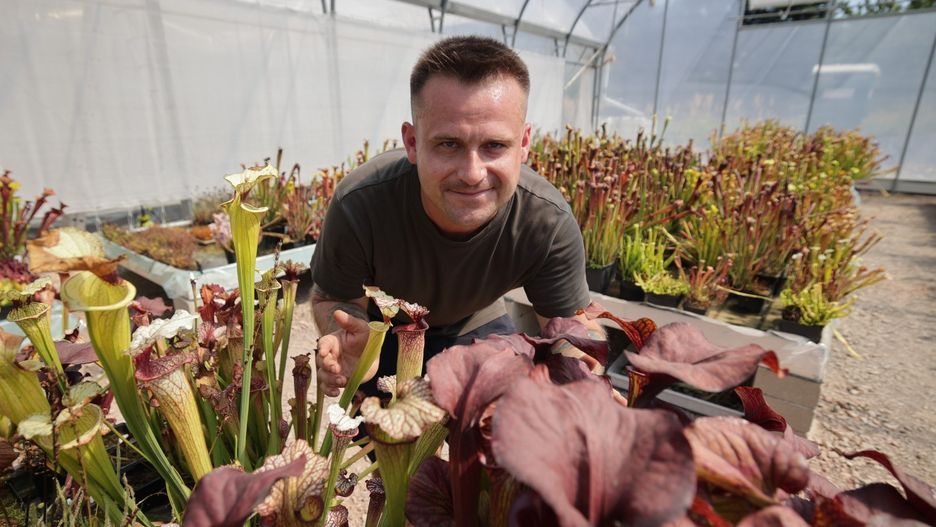 Grzegorz Jamróz zaprasza do jedynego takiego miejsce w regionie, ogrodu z roślinami mięsożernymi Hungry Flora.