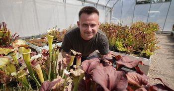 Święta Katarzyna: Ogród Hungry Flora otwarty. Mięsożerne rośliny