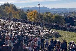 Tłumy zjechały do małej wsi. Niesamowite nagranie