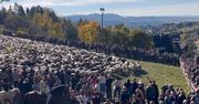 Tłumy zjechały do małej wsi. Niesamowite nagranie