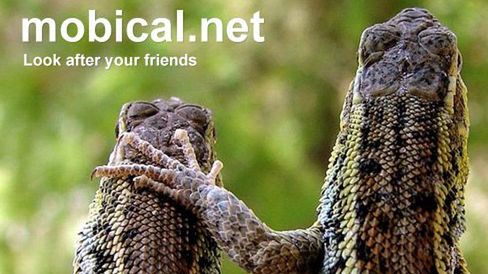 Profesjonalna kopia zapasowa od Mobical 1