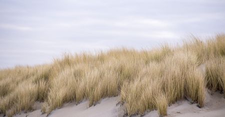 Uważaj na wydmach. Fotograf zmarł przysypany piaskiem