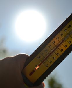 Upały w Europie. Nadciąga fala gorąca, temperatury przekroczą 44 stopnie Celsjusza