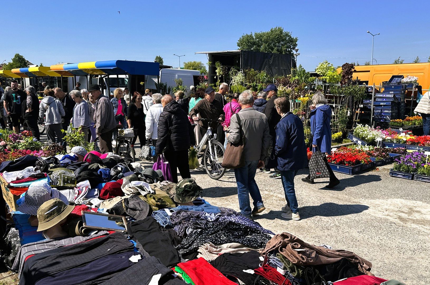 Duży ruch na targu w Tarnobrzegu w środę 21 maja. Rośliny, warzywa, kwiaty i truskawki mają wzięcie.