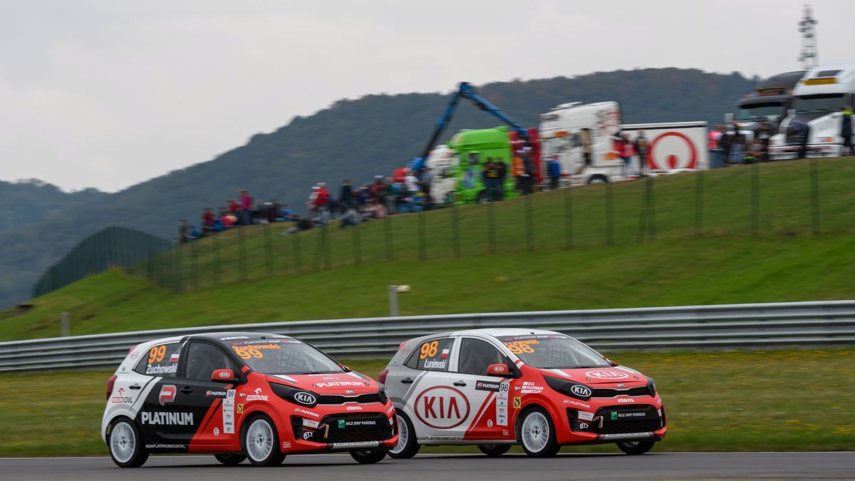 Kia Platinum Cup (fot. Dominik Kalamus)