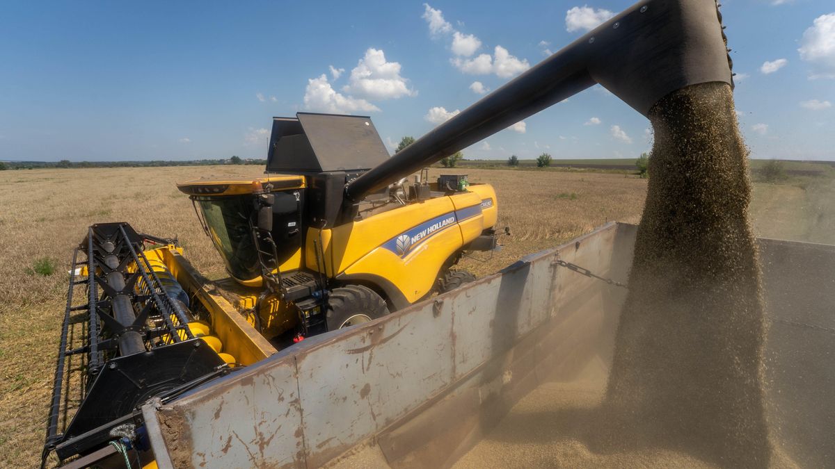 żniwa
Mykola Kalyeniak
kombajn zbożowy, ukrainie, zbiór zbóż, żniwa