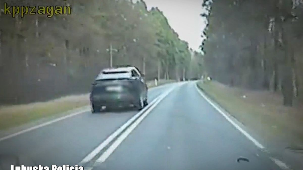 Wyprzedzanie na podwójnej ciągłej to tylko jedno z przewinień