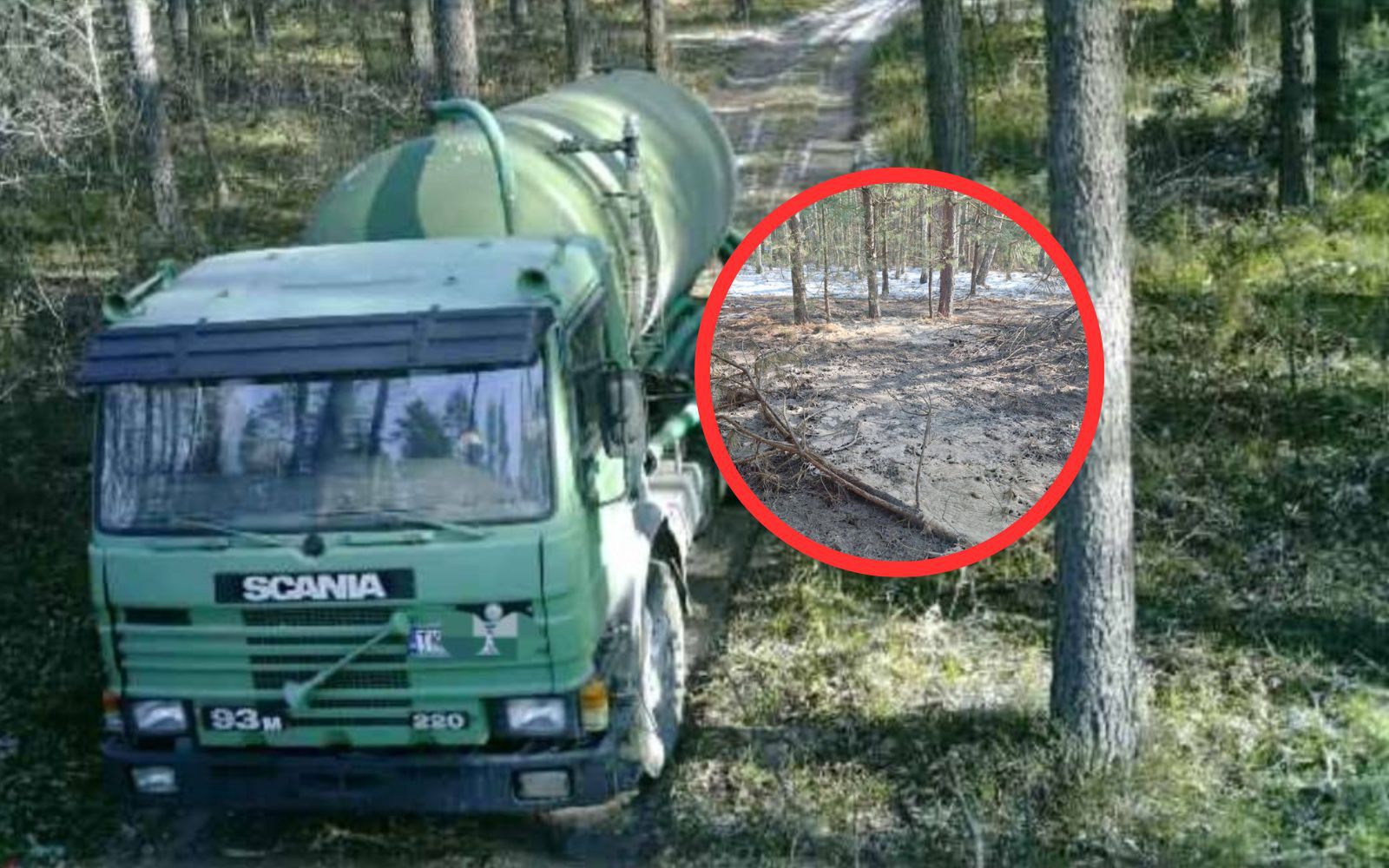 Wjechał do lasu. Wylał wszystko, co miał. Nagrali go fotopułapką