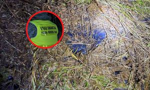 Przyłapana w krzakach. 47 tys. sztuk. Interwencja służb