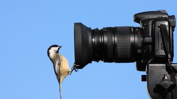 Czas przerwać dyktaturę "puszki" - "słoik" kontratakuje 1