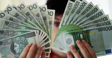Euro w Polsce. "Wciąż nie rozumiemy jednego". Ekspertki rozprawiły się z mitami