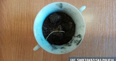 17-latce z Bodzechowa grozi kara 3 lat więzienia