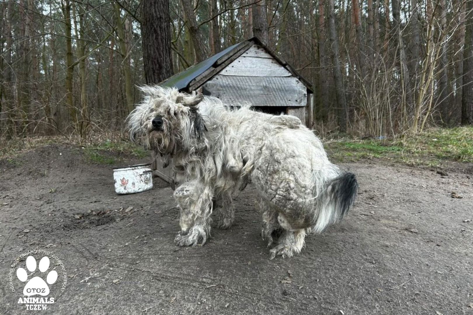 To nie lama ani alpaka. Inspektorka była w szoku