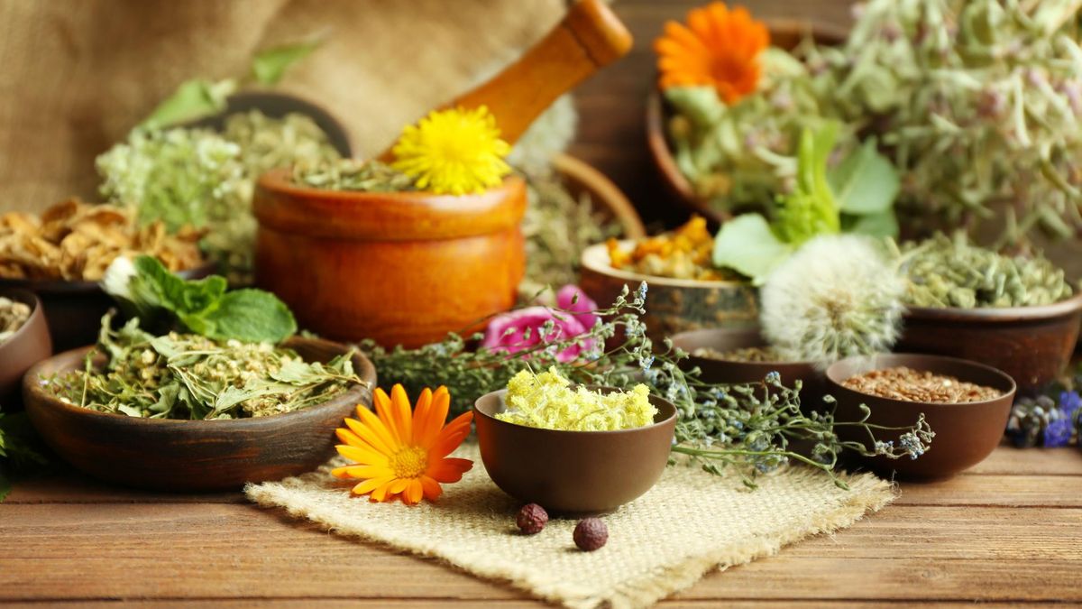 Płucnica islandzka posiada wiele cennych właściwości zdrowotnych.