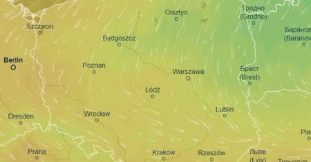 Prognoza pogody na weekend. Grzybiarze będą mieli powód do zadowolenia
