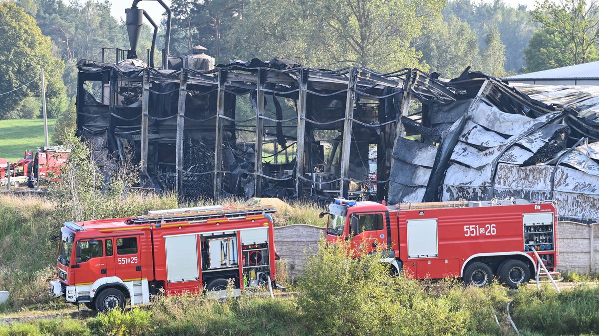 �ebia�ska Huta, 06.09.2024. Akcja gaszenia po�aru sk�adowiska styropianu w �ebie�skiej Hucie, 6 bm. Na miejscu pracuje 21 zast�p�w stra�y po�arnej z powiat�w wejherowskiego, kartuskiego i Gdyni.  (jm) PAP/Andrzej Jackowski ***Do tego materia�u zdj�ciowego dost�pna jest r�wnie� depesza w systemie CSI, pt.: Pomorskie/ Po�ar sk�adu styropianu i hali; z ogniem walczy 21 zast�p�w***
Andrzej Jackowski
hala, Po�ar, sk�adowisko styropianu, stra� po�arna