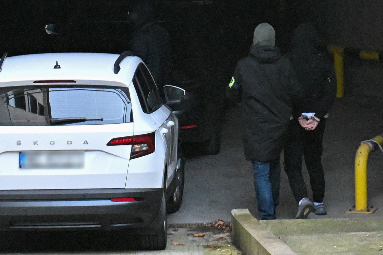 Nowe informacje ws. Buddy. Wiemy, kim są pozostali zatrzymani