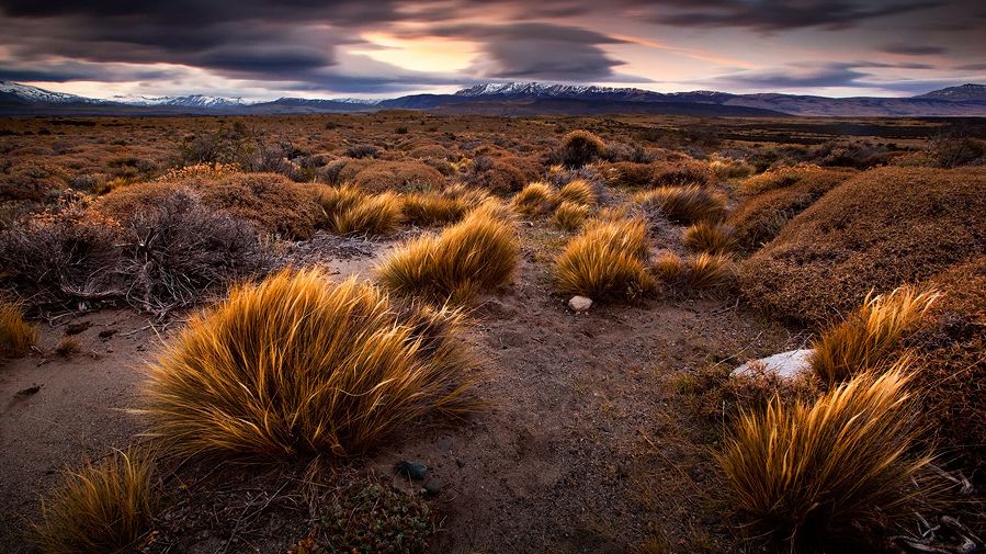 Staranne krajobrazy Xaviera Jamonet 1