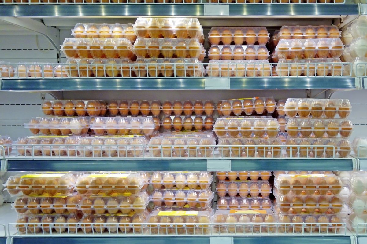 Polacy nie chcą jaj z chowu klatkowego. Rewolucja w sklepach