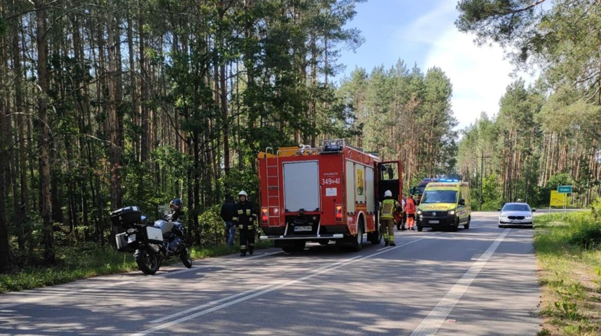 O włos od tragedii. Przed motocyklistów na drogę wbiegł zając