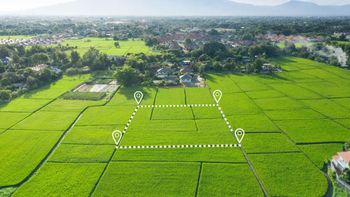 Planujesz budowę domu? Cena działki może przyprawić o ból głowy