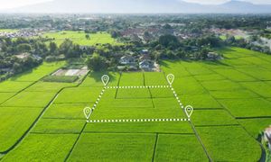 Planujesz budowę domu? Cena działki może przyprawić o ból głowy