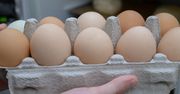Te jajka są najzdrowsze. Naukowcy nie mają wątpliwości