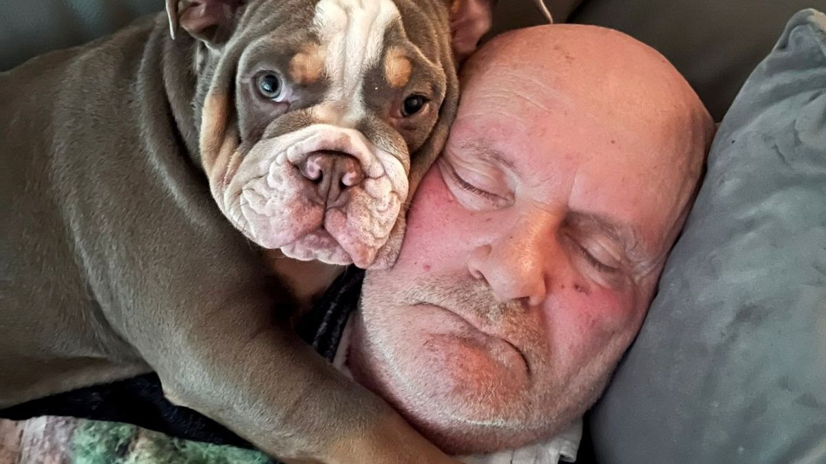 Pies prawdopodobnie uratował życie swojemu panu